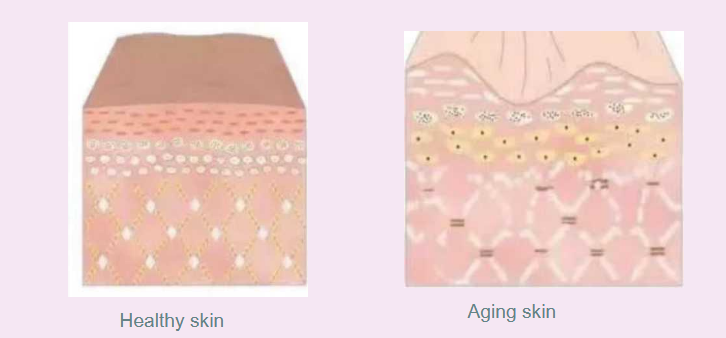 Screenshot 2025-11-01 at 23-02-35 Exosome Details.pdf